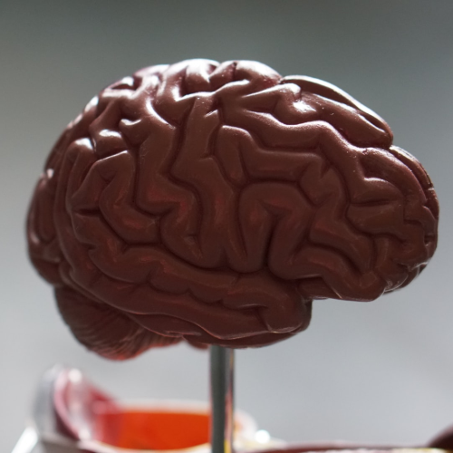 17. Kaksinkertaista aivokapasiteettisi