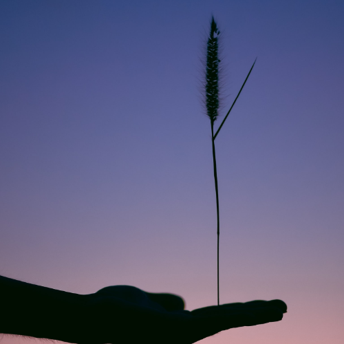 24. Elämä tasapainoon